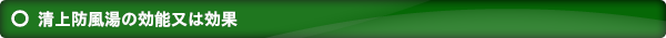 清上防風湯の効能又は効果